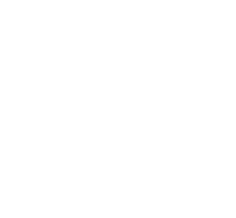logo st regis